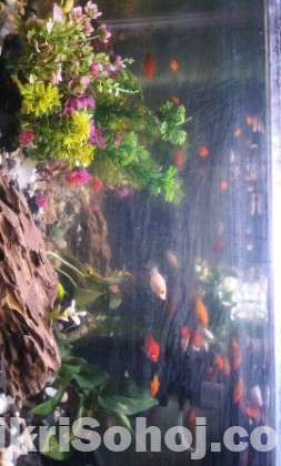 smart aquarium LED light